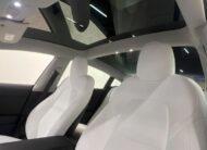 Model X